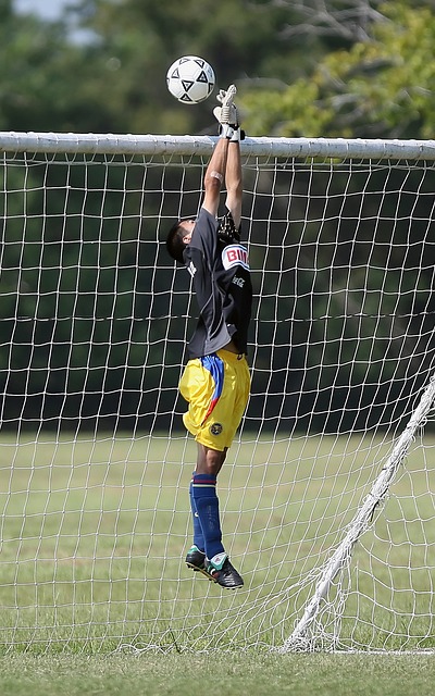 不可或缺的 不可或缺的