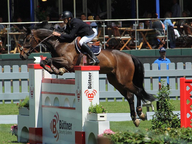 突然退出W 突然退出W