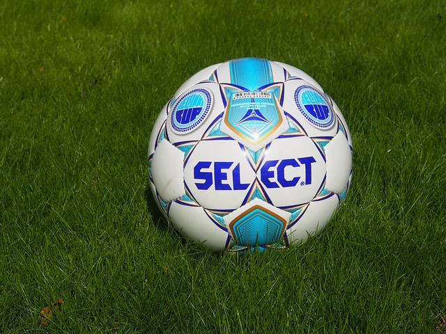 素共同作用 素共同作用