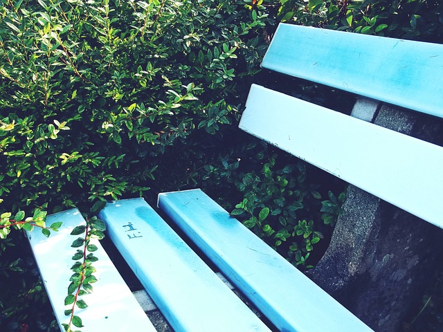 篮板拼抢和 篮板拼抢和