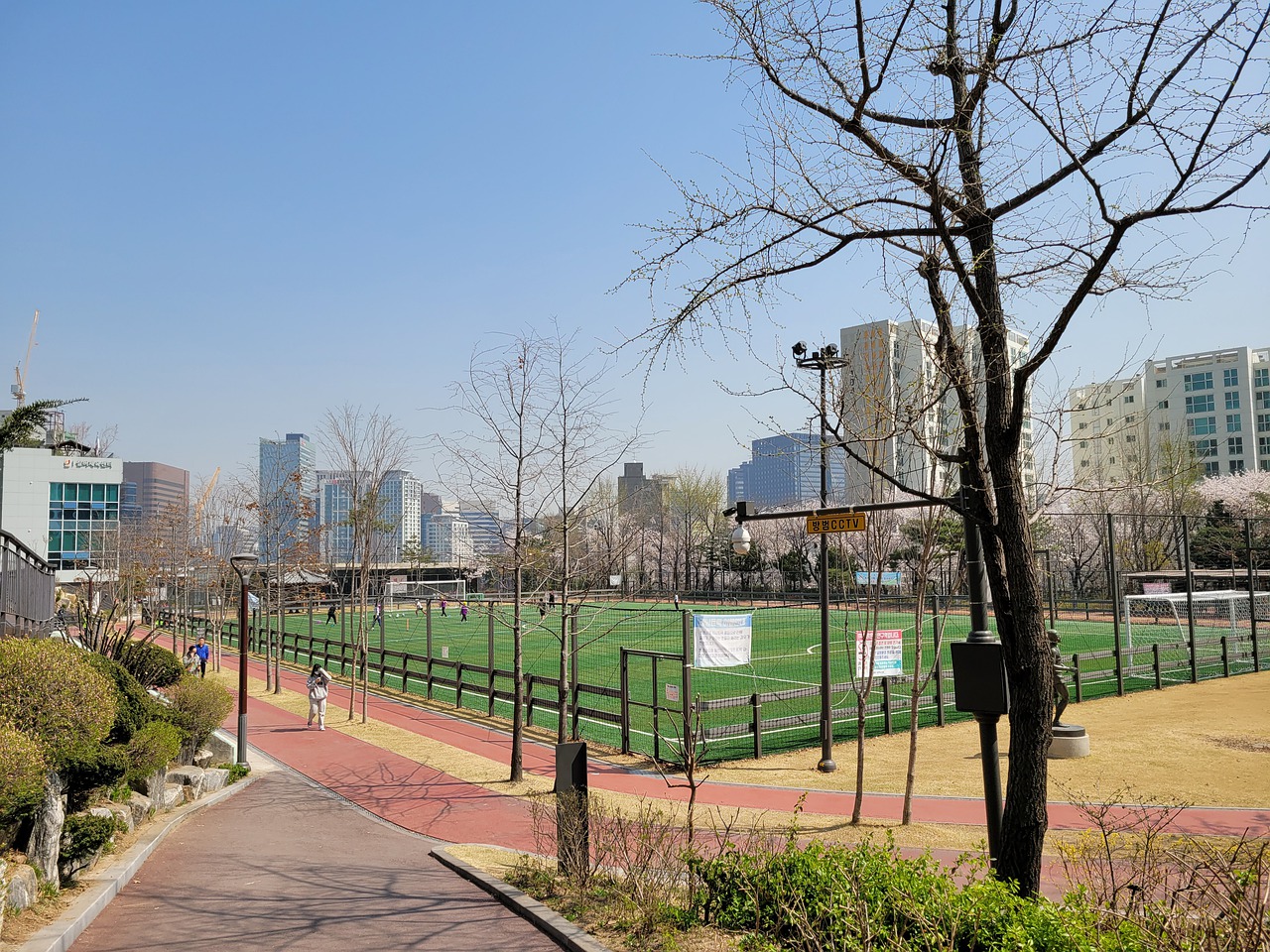 在罗马诺的 在罗马诺的